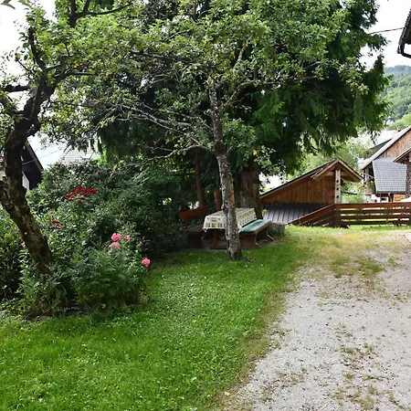 Apartmaji Janez Skantar Апартаменты